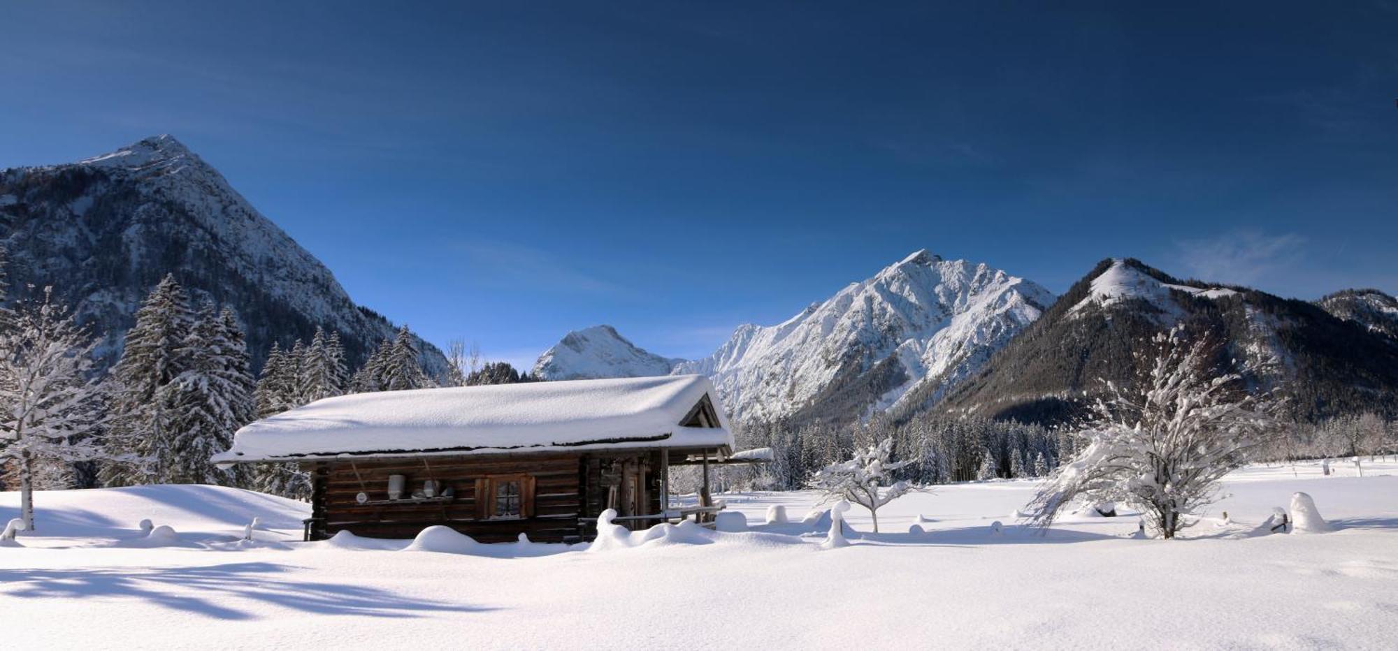 Karwendel Ferienwohnung * Pertisau